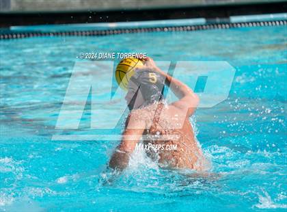 Thumbnail 2 in Redwood vs. Foothill photogallery.
