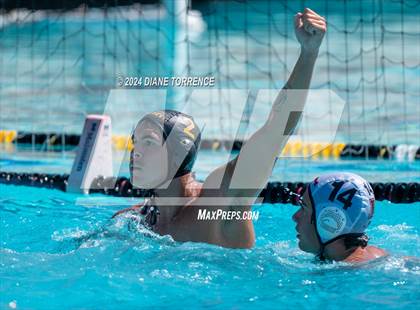 Thumbnail 3 in Redwood vs. Foothill photogallery.