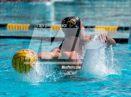 Thumbnail 1 in Redwood vs. Foothill photogallery.