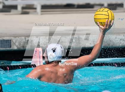 Thumbnail 2 in Redwood vs. Foothill photogallery.
