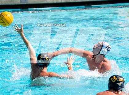 Thumbnail 1 in Redwood vs. Foothill photogallery.