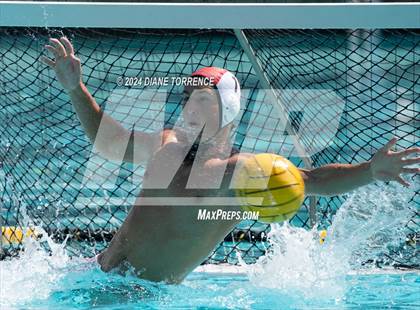 Thumbnail 2 in Redwood vs. Foothill photogallery.
