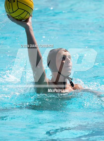 Thumbnail 2 in Redwood vs. Foothill photogallery.