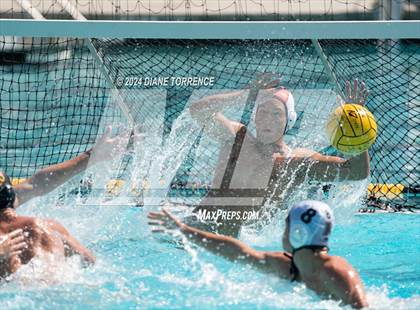 Thumbnail 3 in Redwood vs. Foothill photogallery.