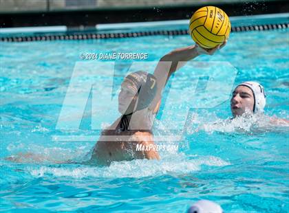 Thumbnail 2 in Redwood vs. Foothill photogallery.
