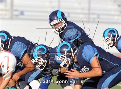 Thumbnail 1 in Poly @ Ramona photogallery.