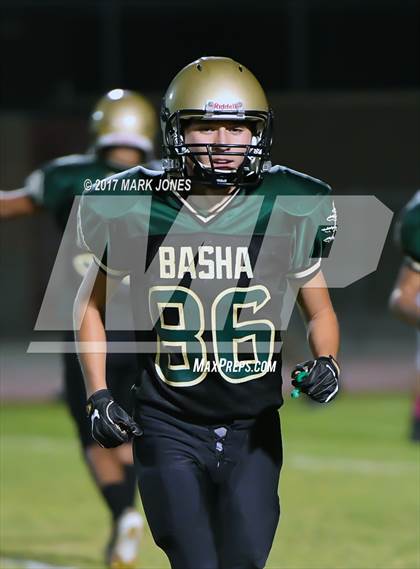 Thumbnail 3 in Hamilton @ Basha photogallery.