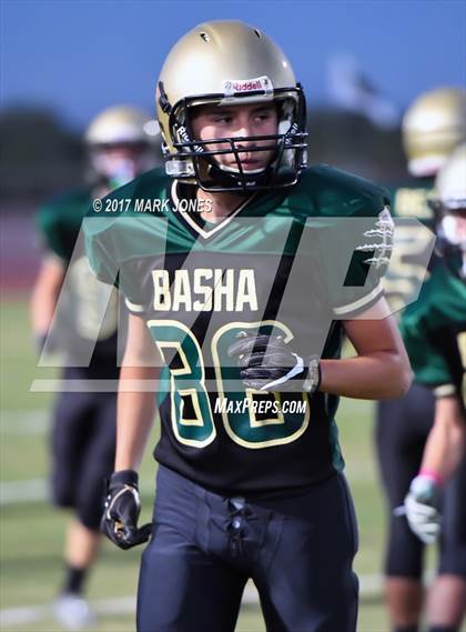 Thumbnail 1 in Hamilton @ Basha photogallery.
