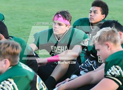 Thumbnail 3 in Hamilton @ Basha photogallery.