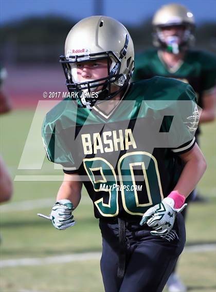 Thumbnail 2 in Hamilton @ Basha photogallery.