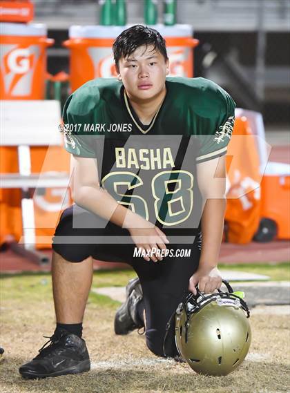 Thumbnail 3 in Hamilton @ Basha photogallery.