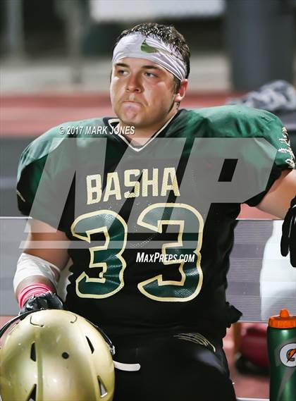 Thumbnail 2 in Hamilton @ Basha photogallery.