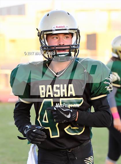 Thumbnail 1 in Hamilton @ Basha photogallery.