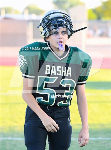 Thumbnail 3 in Hamilton @ Basha photogallery.