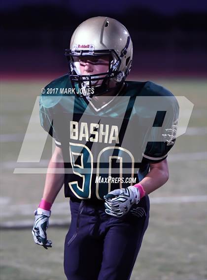 Thumbnail 3 in Hamilton @ Basha photogallery.