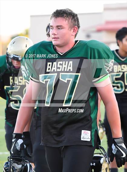 Thumbnail 2 in Hamilton @ Basha photogallery.