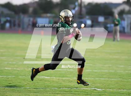 Thumbnail 3 in Hamilton @ Basha photogallery.