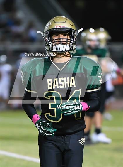Thumbnail 3 in Hamilton @ Basha photogallery.