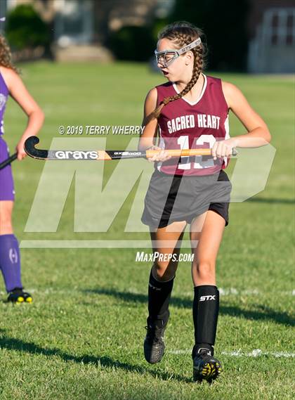 Thumbnail 1 in Royalton-Hartland @ Sacred Heart Academy photogallery.