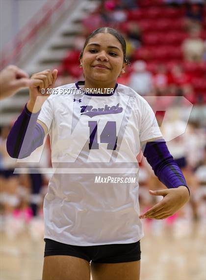 Thumbnail 1 in Merkel @ Jim Ned photogallery.