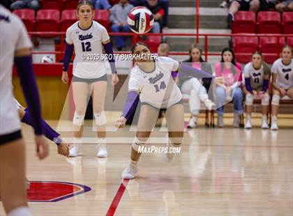 Thumbnail 3 in Merkel @ Jim Ned photogallery.