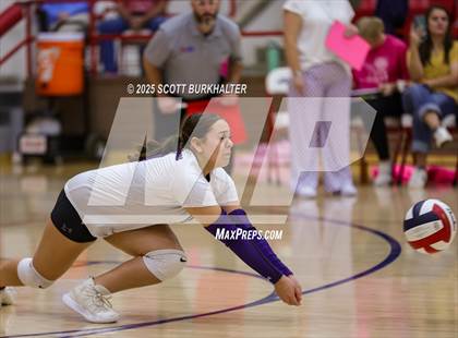 Thumbnail 1 in Merkel @ Jim Ned photogallery.