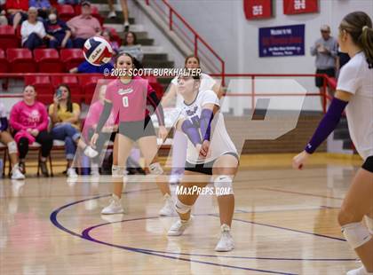 Thumbnail 1 in Merkel @ Jim Ned photogallery.