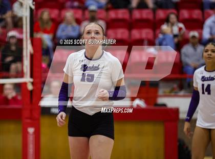 Thumbnail 1 in Merkel @ Jim Ned photogallery.