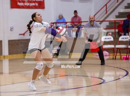 Thumbnail 2 in Merkel @ Jim Ned photogallery.