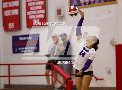 Thumbnail 1 in Merkel @ Jim Ned photogallery.