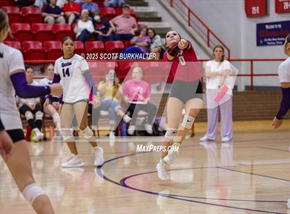 Thumbnail 1 in Merkel @ Jim Ned photogallery.