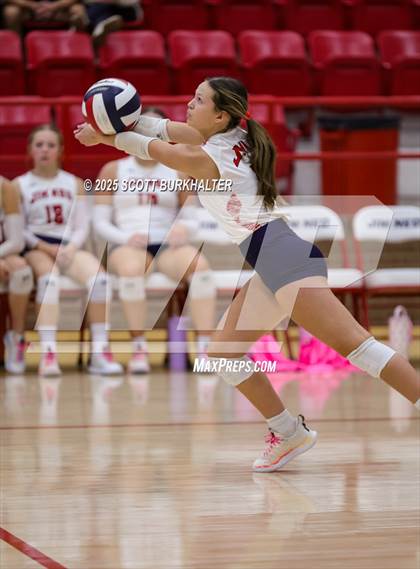 Thumbnail 1 in Merkel @ Jim Ned photogallery.