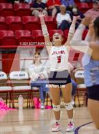 Photo from the gallery "Merkel @ Jim Ned"