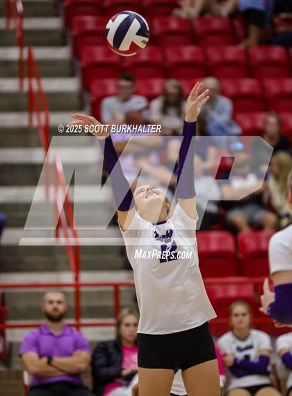 Thumbnail 1 in Merkel @ Jim Ned photogallery.