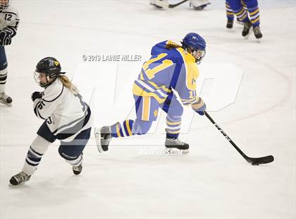 Thumbnail 3 in Thief River Falls @ Bemidji photogallery.