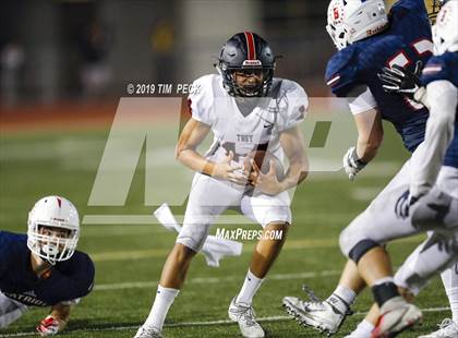 Thumbnail 2 in Troy @ Beckman photogallery.