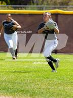 Photo from the gallery "Pomona @ Golden"