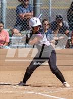 Photo from the gallery "Pomona @ Golden"