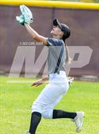 Photo from the gallery "Pomona @ Golden"