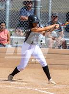 Photo from the gallery "Pomona @ Golden"
