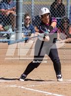 Photo from the gallery "Pomona @ Golden"