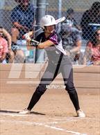 Photo from the gallery "Pomona @ Golden"