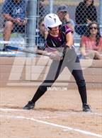 Photo from the gallery "Pomona @ Golden"