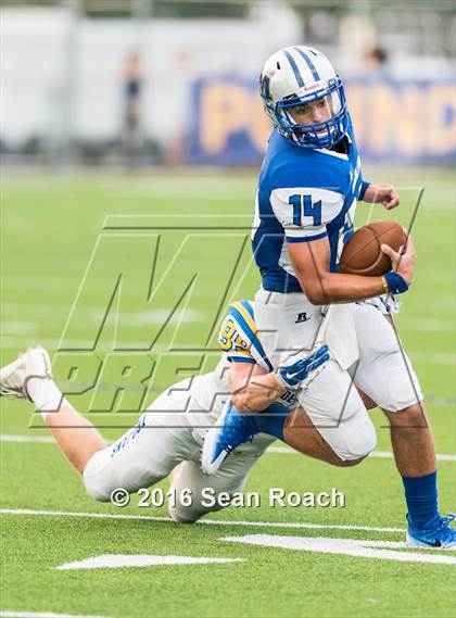 Thumbnail 2 in Anderson @ McCallum photogallery.