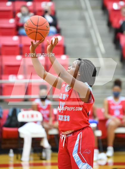 Thumbnail 1 in Hirschi @ Mineral Wells photogallery.