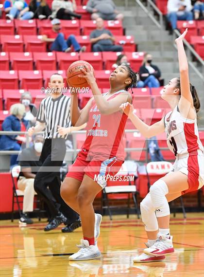 Thumbnail 1 in Hirschi @ Mineral Wells photogallery.