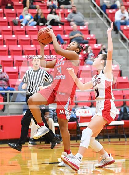 Thumbnail 2 in Hirschi @ Mineral Wells photogallery.