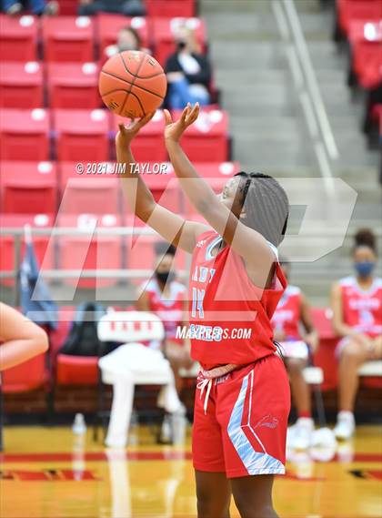 Thumbnail 3 in Hirschi @ Mineral Wells photogallery.