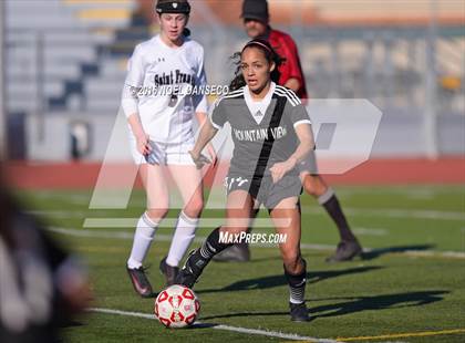 Thumbnail 2 in Mountain View vs. Saint Francis (Firebird Classic Final) photogallery.