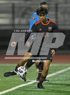 Photo from the gallery "James Logan @ California"